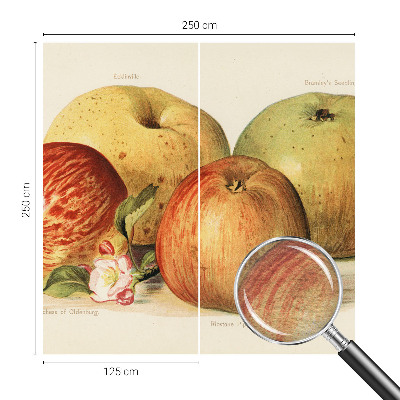 Bedruckte Vlies-Fototapete mit Motiv Apfelblüten