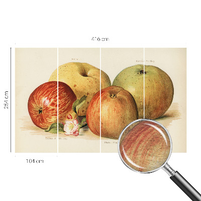 Bedruckte Vlies-Fototapete mit Motiv Apfelblüten