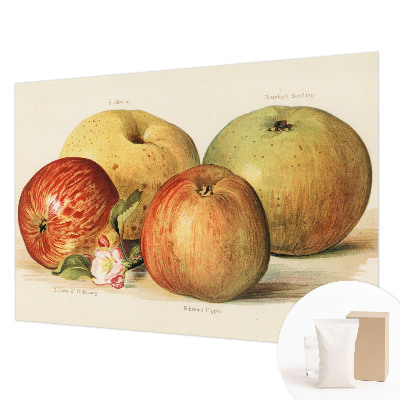Bedruckte Vlies-Fototapete mit Motiv Apfelblüten