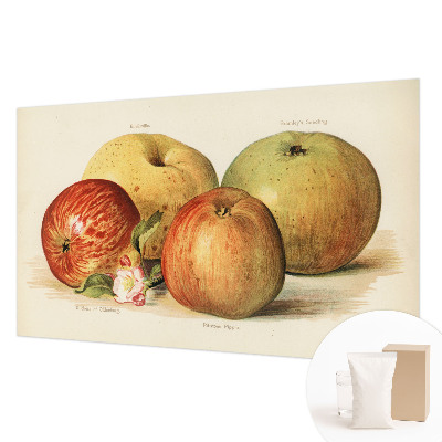 Bedruckte Vlies-Fototapete Apfelblüten