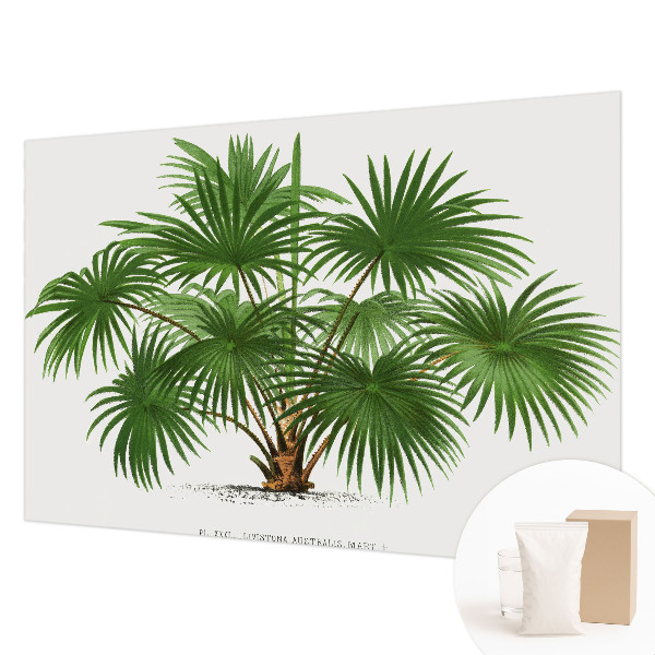 Fototapete aus Vlies Exotisches Muster