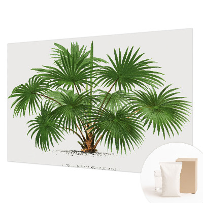 Fototapete aus Vlies Exotisches Muster