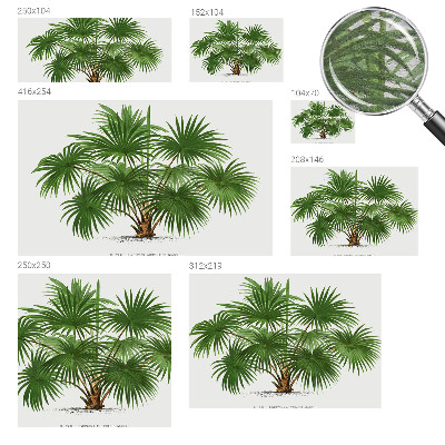 Fototapete aus Vlies mit exotischem Muster