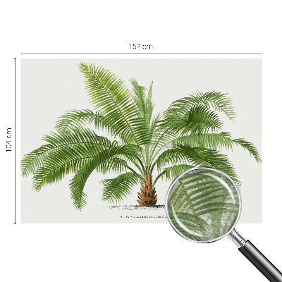 Vlies-Fototapete nach Maß mit glänzendem Palmenmotiv
