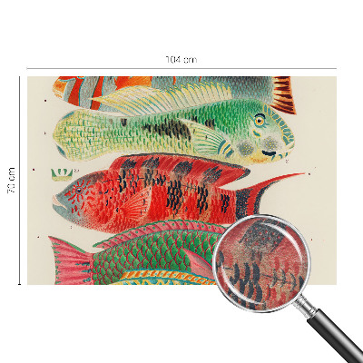 Vlies-Fototapete fürs Wohnzimmer mit exotischen Fischen als Motiv