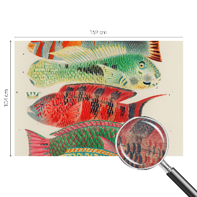 Vlies-Fototapete fürs Wohnzimmer mit exotischen Fischen als Motiv
