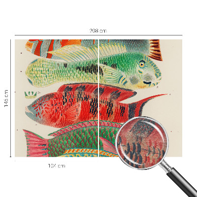 Vlies-Fototapete fürs Wohnzimmer mit exotischen Fischen als Motiv