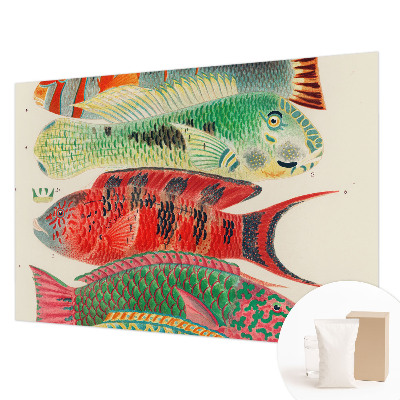 Vlies-Fototapete fürs Wohnzimmer mit exotischen Fischen als Motiv