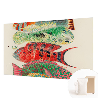 Vlies-Fototapete fürs Wohnzimmer mit exotischen Fischen als Motiv