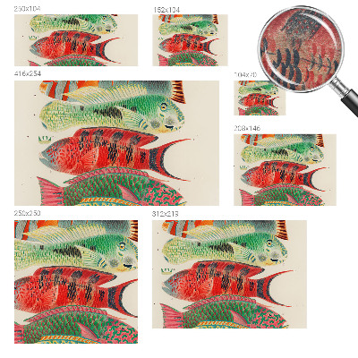 Vlies-Fototapete fürs Wohnzimmer Exotische Fische