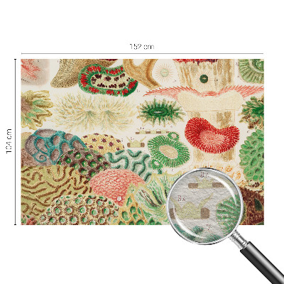 Vlies-Fototapete fürs Schlafzimmer Organische Formen