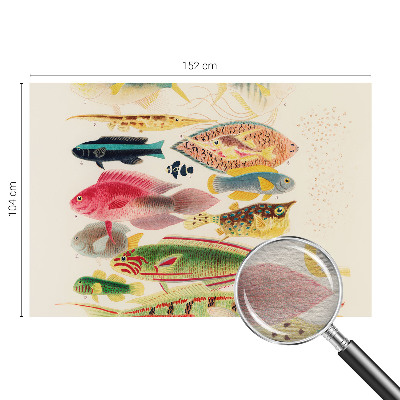 Vlies-Fototapete fürs Kinderzimmer mit bunten Fischen