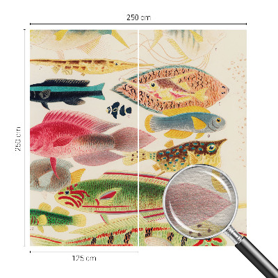 Vlies-Fototapete fürs Kinderzimmer Bunte Fische