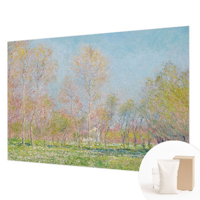 Vliestapete fürs Schlafzimmer Spring Park