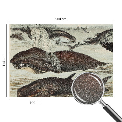 Fototapete fürs Kinderzimmer Meerestiere