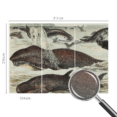 Fototapete fürs Kinderzimmer Meerestiere