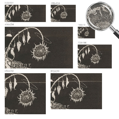 Vlies-Fototapete nach Maß Nostalgische Sonnenblume