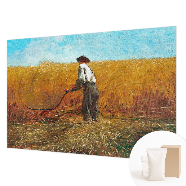 Vlies-Fototapete fürs Kinderzimmer Ernte in der Sonne