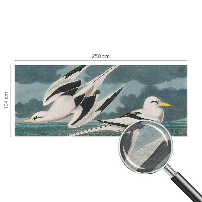 Fototapete fürs Wohnzimmer Vögel am Meer