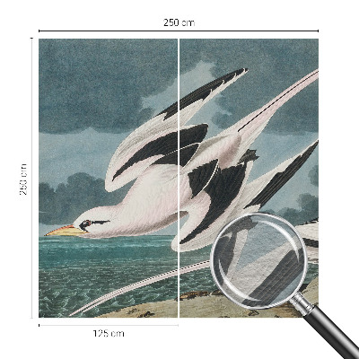Fototapete fürs Wohnzimmer mit Motiv von Vögeln am Meer