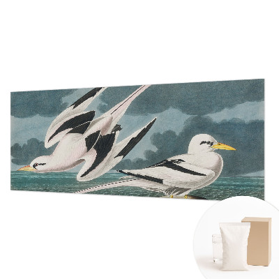 Fototapete fürs Wohnzimmer Vögel am Meer