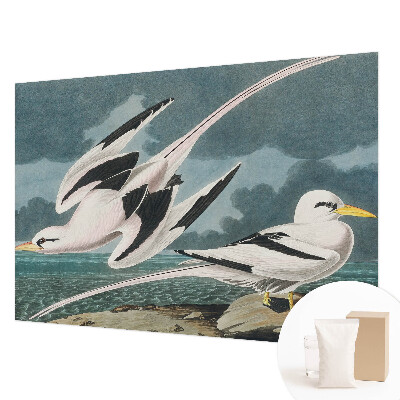 Fototapete fürs Wohnzimmer Vögel am Meer