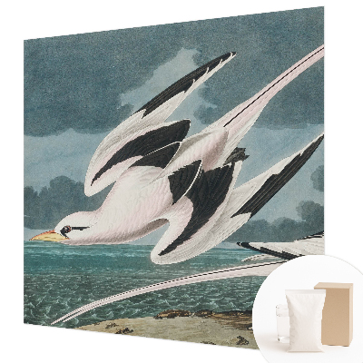 Fototapete fürs Wohnzimmer Vögel am Meer