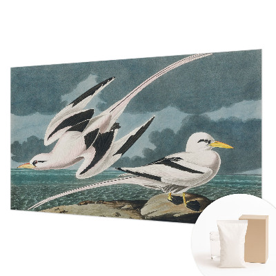 Fototapete fürs Wohnzimmer Vögel am Meer