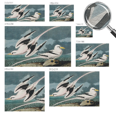 Fototapete fürs Wohnzimmer Vögel am Meer