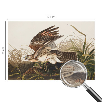 Fototapete fürs Schlafzimmer Geflügelte Schönheit