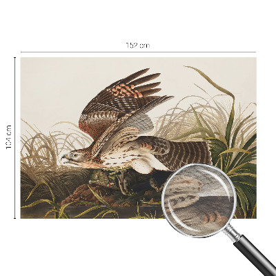 Fototapete fürs Schlafzimmer Geflügelte Schönheit