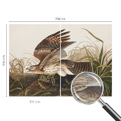 Fototapete fürs Schlafzimmer Geflügelte Schönheit