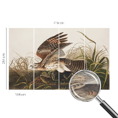 Fototapete fürs Schlafzimmer Geflügelte Schönheit