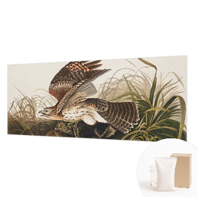 Fototapete fürs Schlafzimmer Geflügelte Schönheit