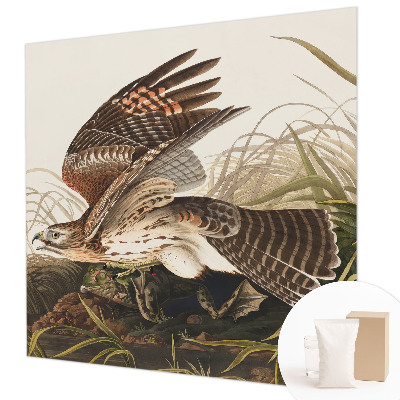 Fototapete fürs Schlafzimmer Geflügelte Schönheit