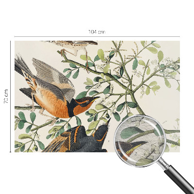 Fototapete aus Vlies Bunte Vögel