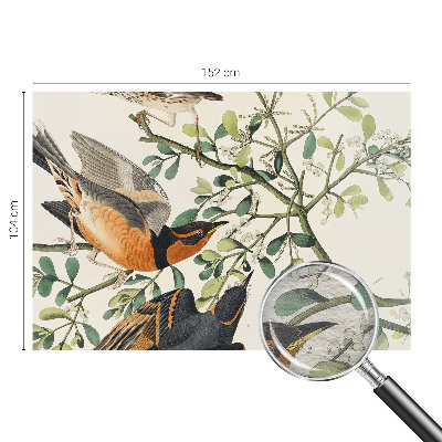 Fototapete aus Vlies Bunte Vögel