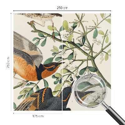 Fototapete aus Vlies Bunte Vögel