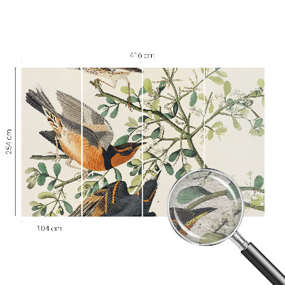 Fototapete aus Vlies Bunte Vögel