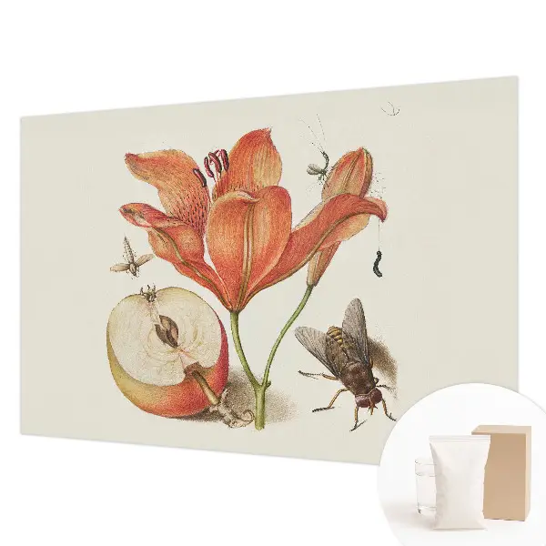 Bedruckte Vlies-Fototapete mit botanischer Illustration