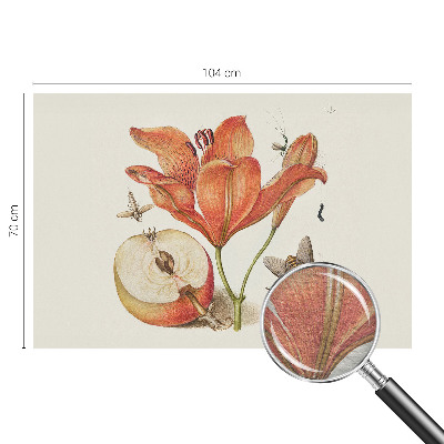 Bedruckte Vlies-Fototapete Botanische Illustration