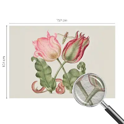 Vliestapete fürs Wohnzimmer mit Tulpenmuster