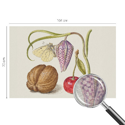 Moderne Vlies-Fototapete Schmetterlingspflanze