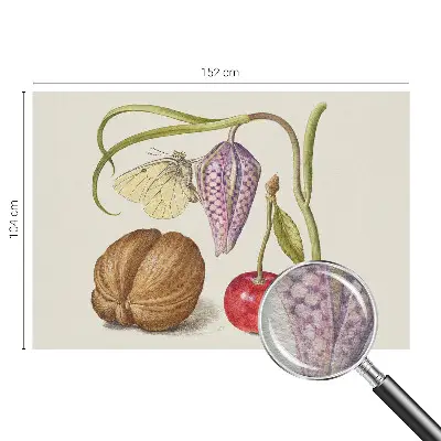 Moderne Vlies-Fototapete mit Motiv der Schmetterlingspflanze