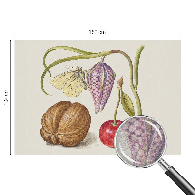 Moderne Vlies-Fototapete Schmetterlingspflanze