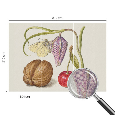 Moderne Vlies-Fototapete Schmetterlingspflanze