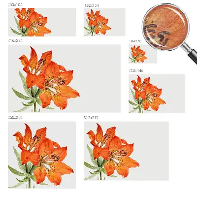 Motivtapete mit orangefarbenen Lilienmotiv