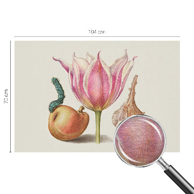 Bildtapete Natürliche Symbiose