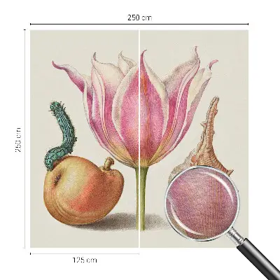 Bildtapete mit dem Motiv „Natürliche Symbiose“