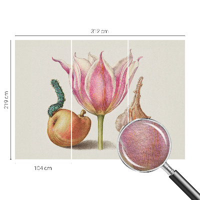 Bildtapete Natürliche Symbiose